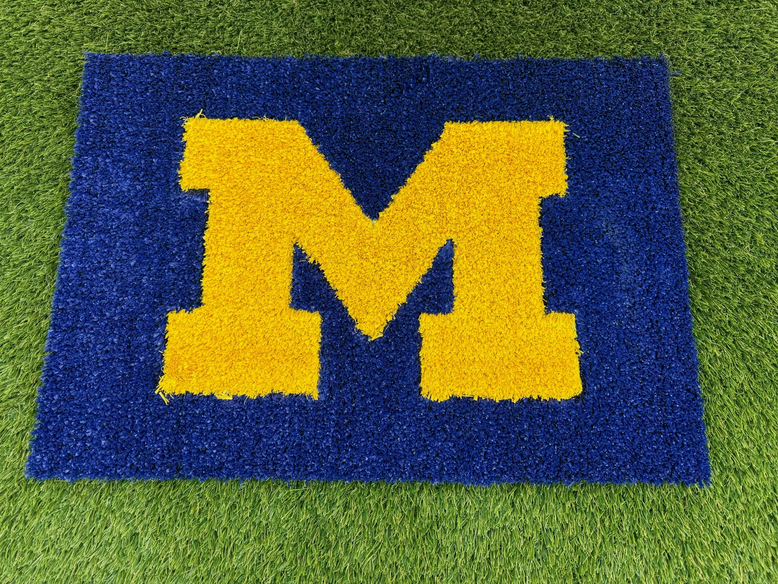Michigan turf doormat variation 4